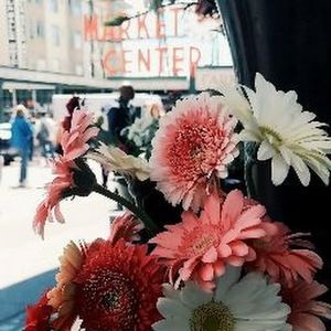 Meet your Posher, Ella